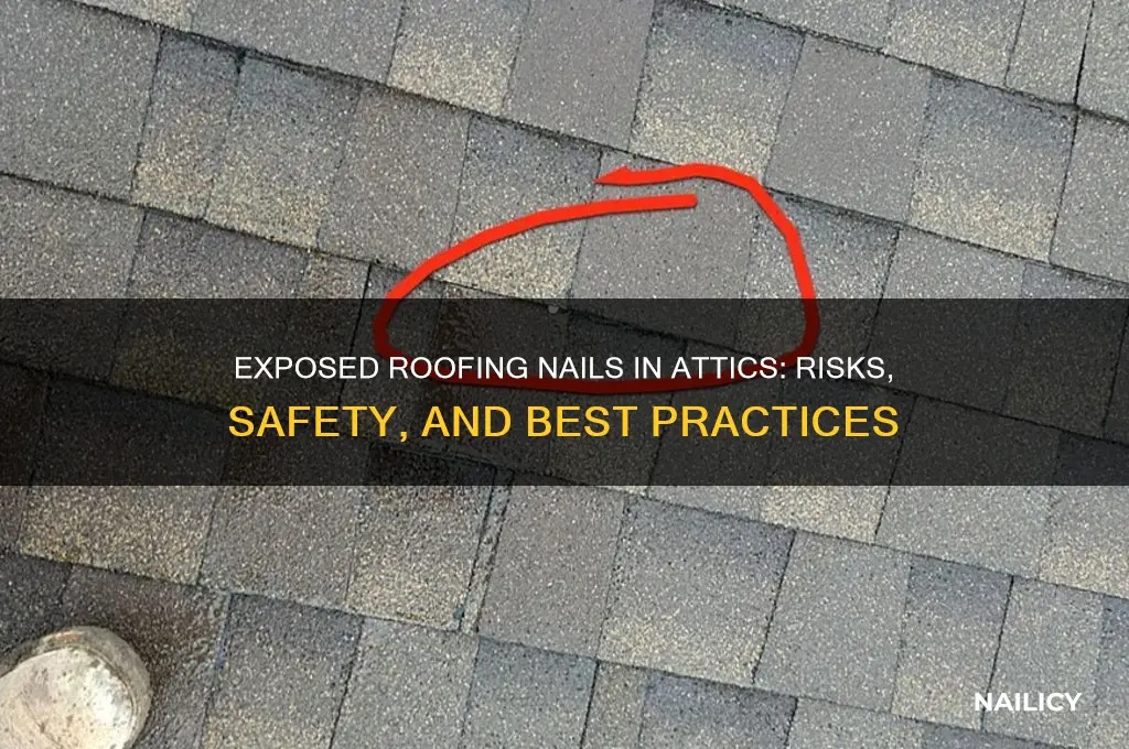 should roofing nails be exposed in attic