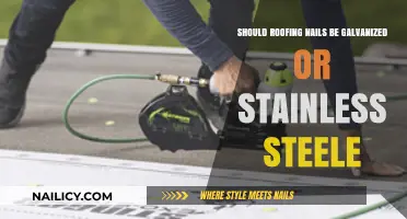 Galvanized vs. Stainless Steel Roofing Nails: Which is Best?