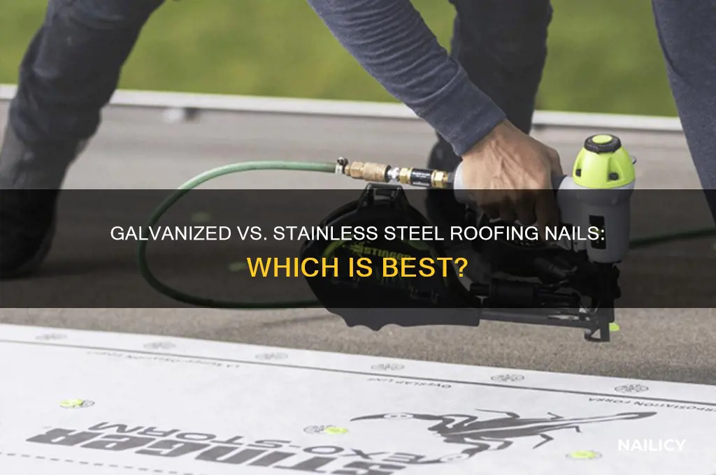 should roofing nails be galvanized or stainless steele