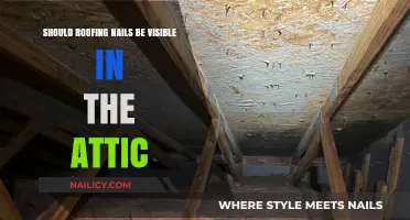 Are Roofing Nails Visible in Your Attic? What’s Normal?