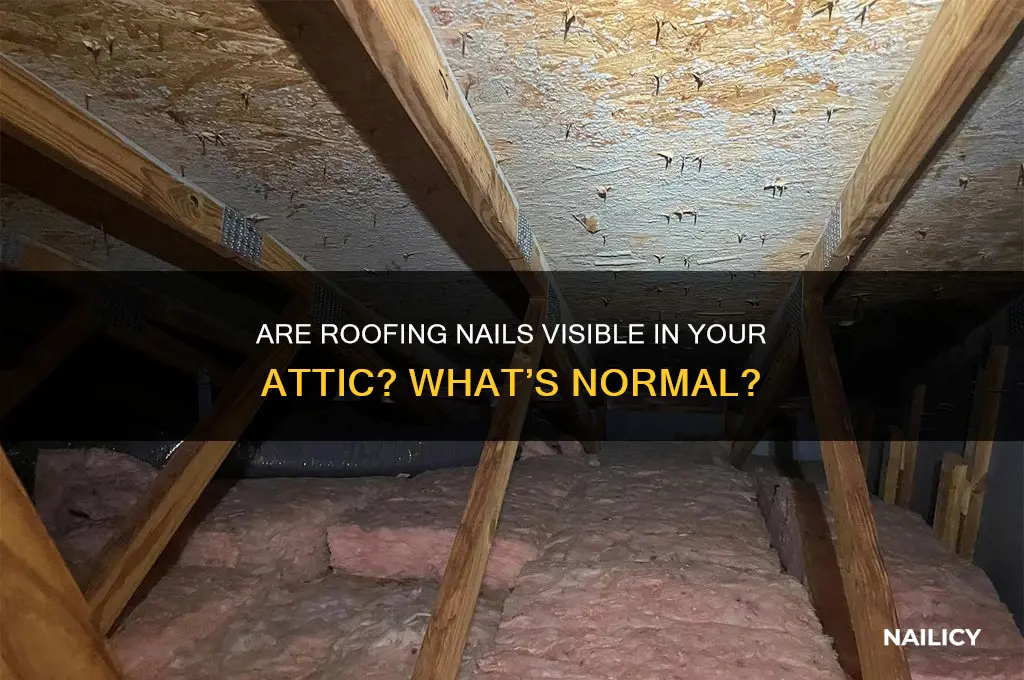 should roofing nails be visible in the attic