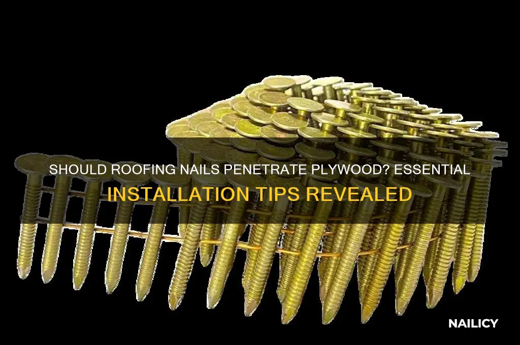 should roofing nails go through the plywood