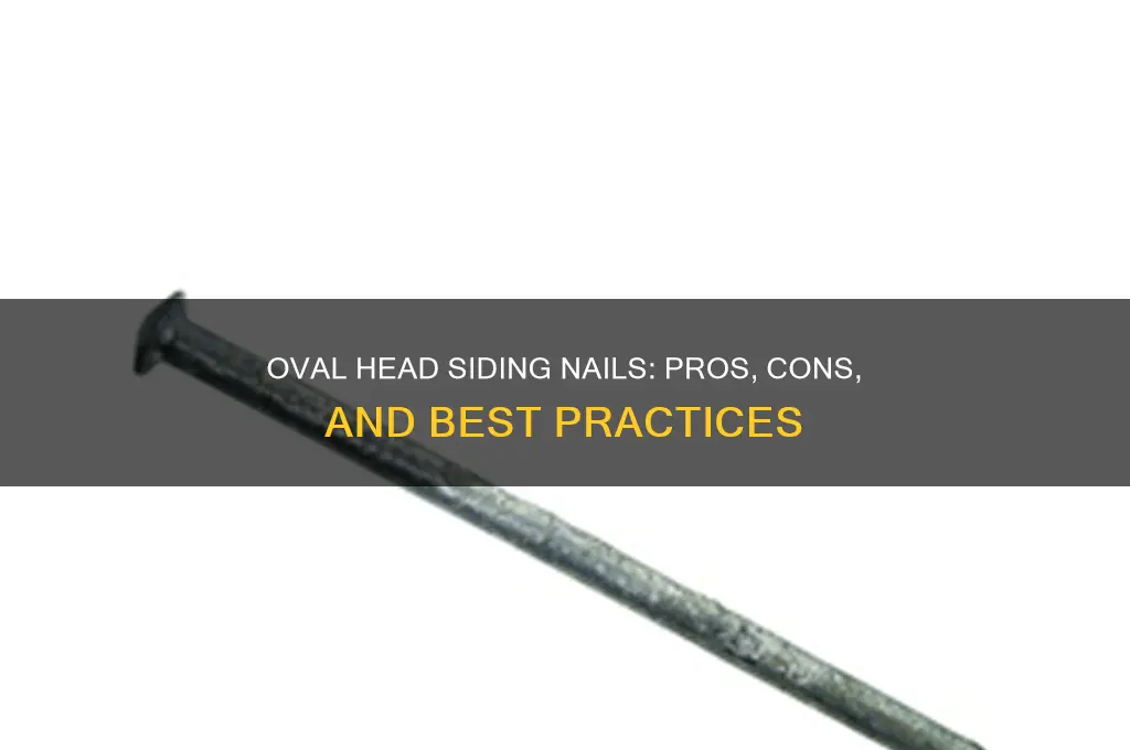 should siding nails have an oval head
