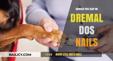 Clipping vs. Dremeling Dog Nails: Which Method is Best for Your Pet?