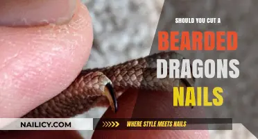 Trimming Your Bearded Dragon's Nails: When and How