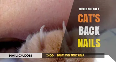 Trimming Your Cat's Back Nails: What You Need to Know