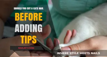 Cat Manicure: Trim Nails First?