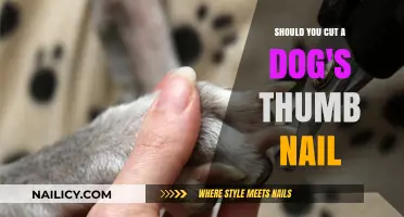 Trimming Dog Nails: Thumb Care Tips