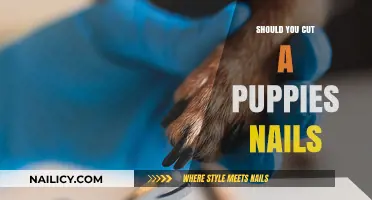 How Often Should You Cut Your Puppy's Nails?
