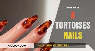 Trimming Tortoise Nails: When and How to Cut Them