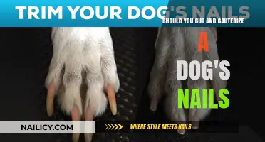 Cauterizing Dog Nails: Pros, Cons, and Alternatives