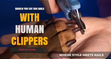 Human Clippers for Dog Nails: Safe or Not?