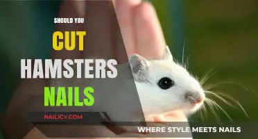 Hamster Nail Care: How Short is Too Short?
