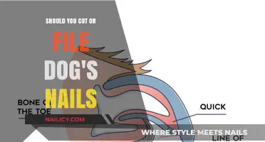 How to Trim Your Dog's Nails: Filing or Clipping?
