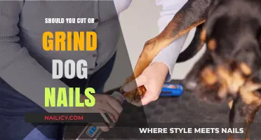 Clipping or Grinding: What's the Best Way to Trim Dog Nails?
