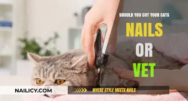 Cat Claw Conundrum: DIY or Vet Visit?