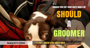 Dog Nail Clipping: DIY or Groomer?