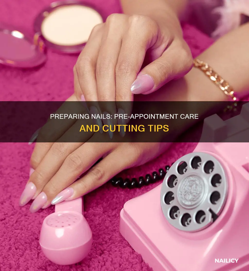 should you cut your nails before a nail appointment