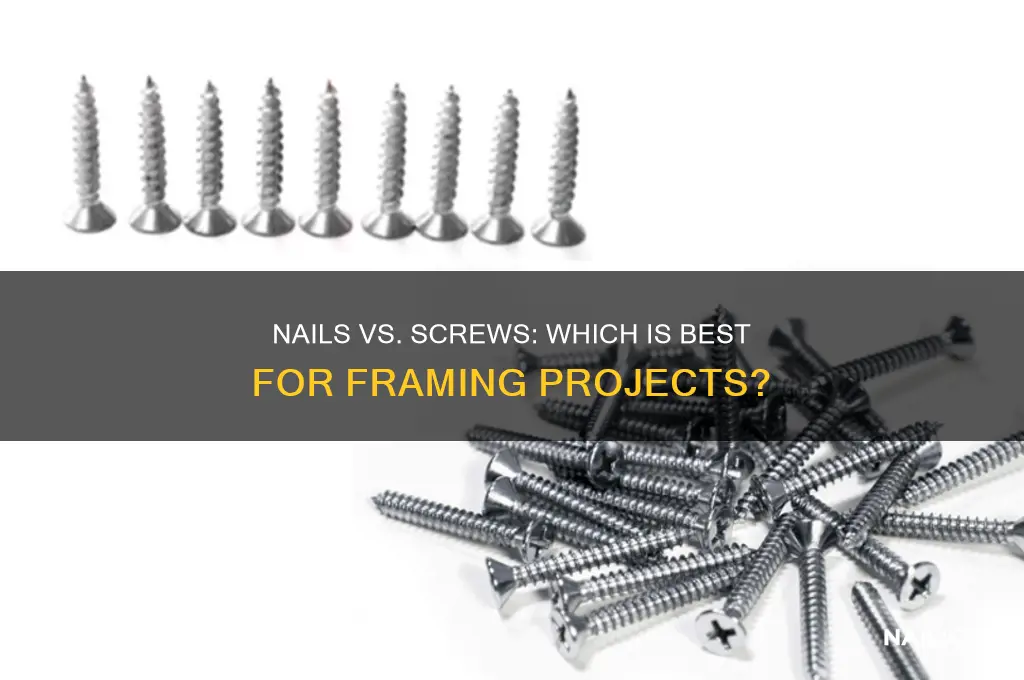 should you frame with nails or screws