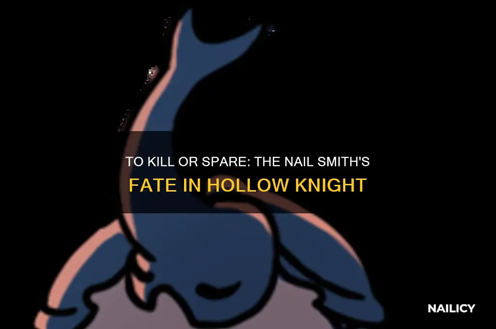 should you kill the nail smith hollow knight
