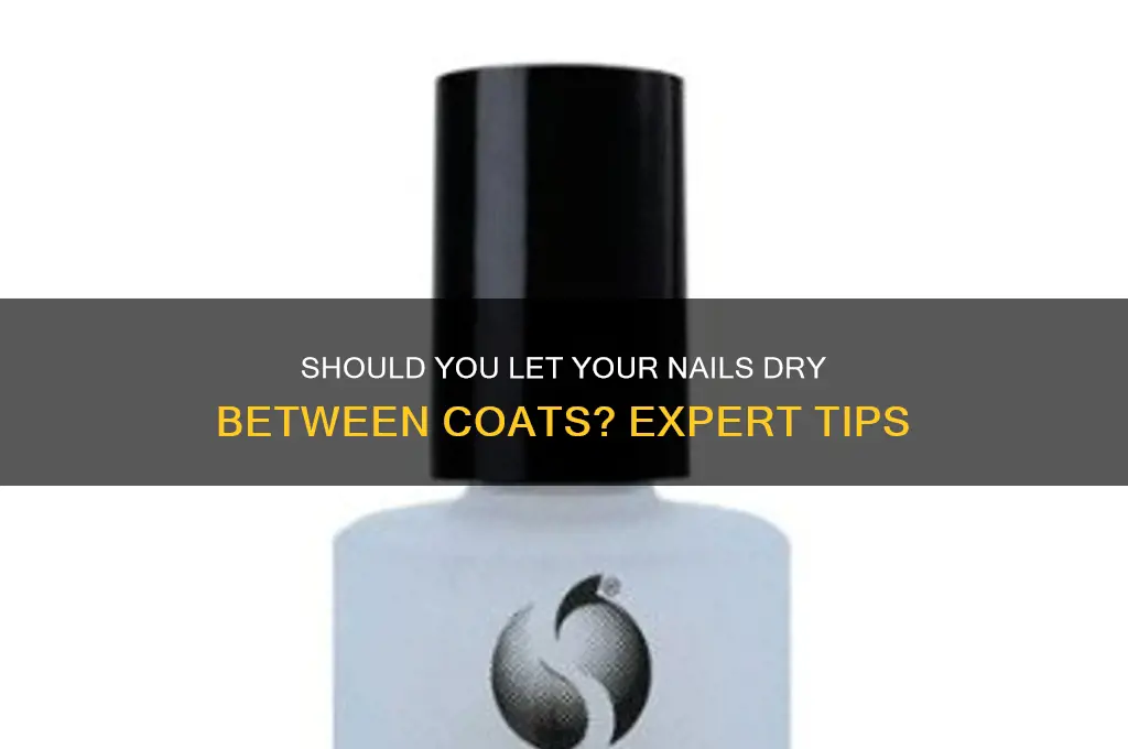 should you let your nails dry between coats
