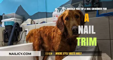 How Much to Tip Your Dog Groomer for Nail Trims?