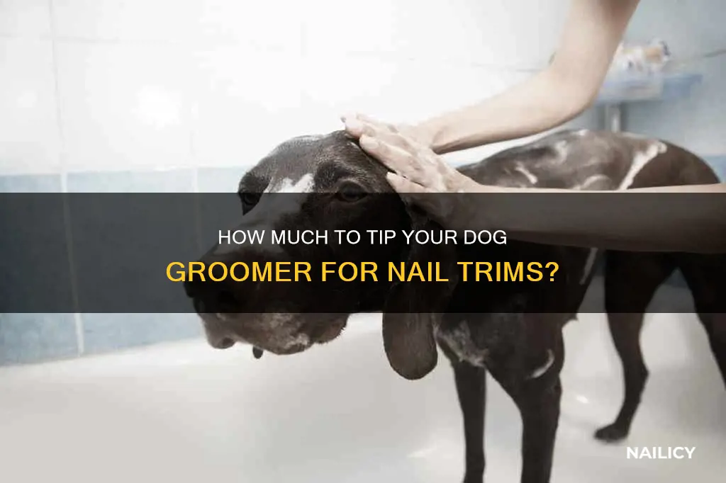 should you tip a dog groomer for a nail trim