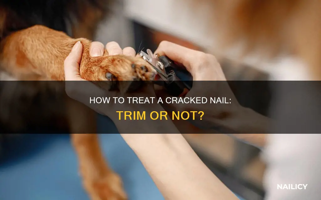 should you trim a cracked nail