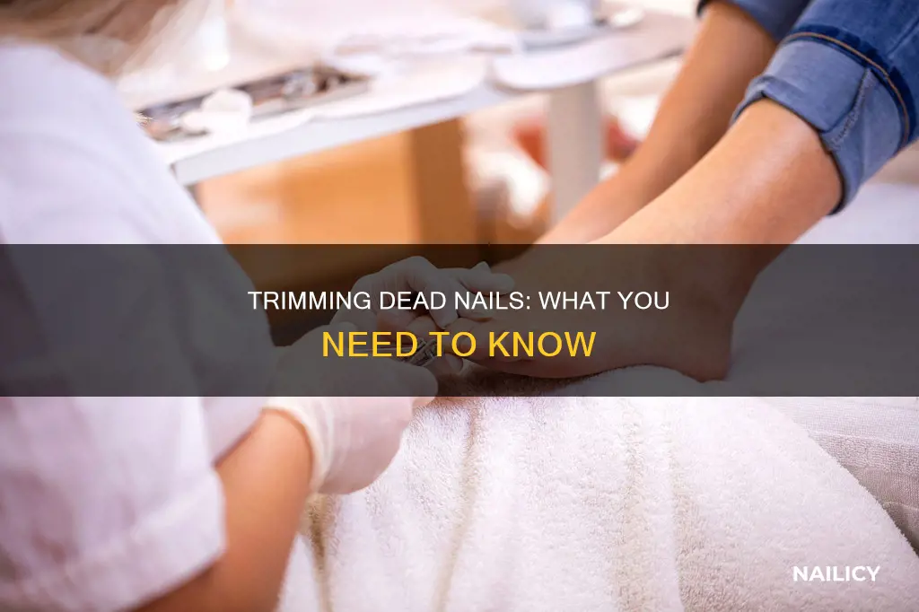 should you trim a dead nail