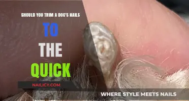 Trimming Dog Nails: Quick Tips for Safe Grooming