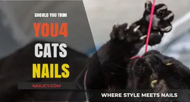 Trimming Your Cat's Nails: Necessary or Not?
