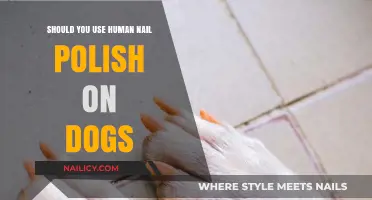 Is Human Nail Polish Safe for Dogs? What You Need to Know
