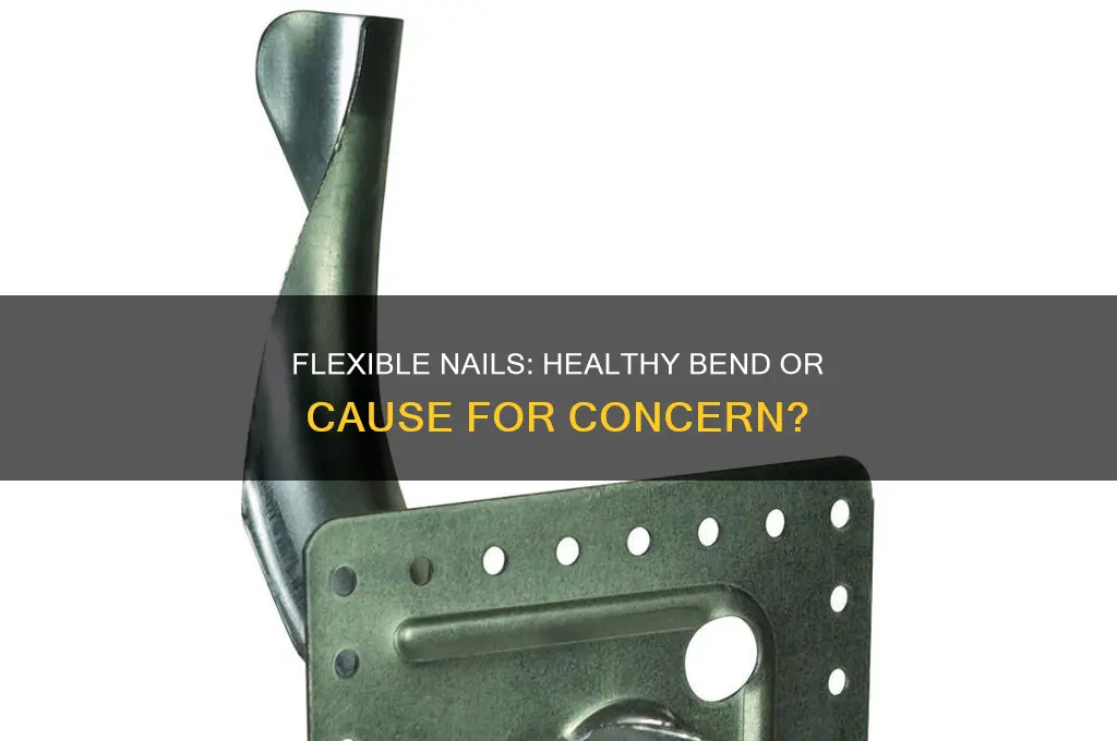 should your nails be able to bend