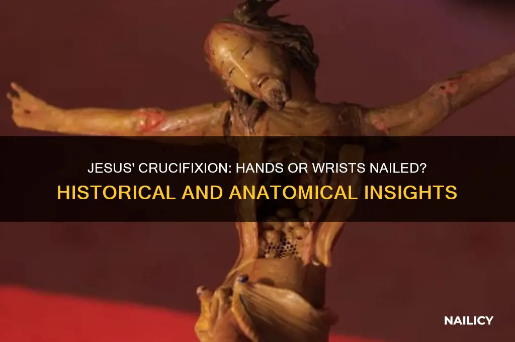 was jesus hands nailed or his wrists