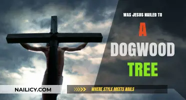 Was Jesus Crucified on a Dogwood Tree? Unraveling the Myth