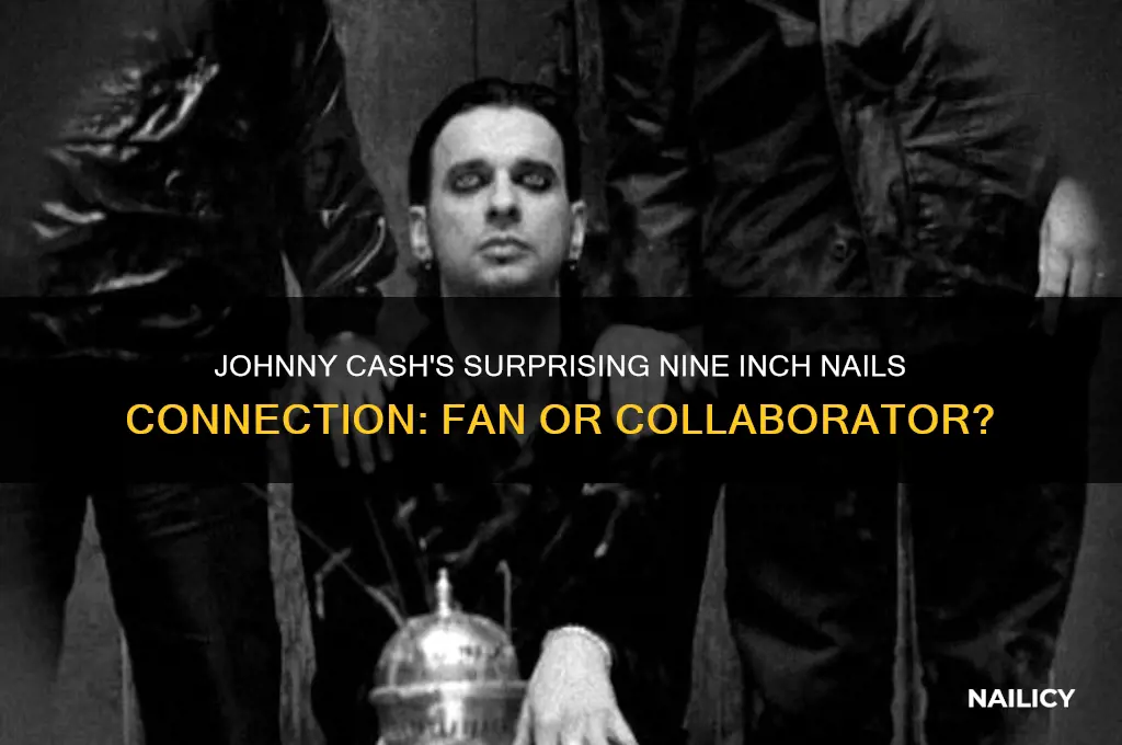 was johnny cash a nine inch nails fan