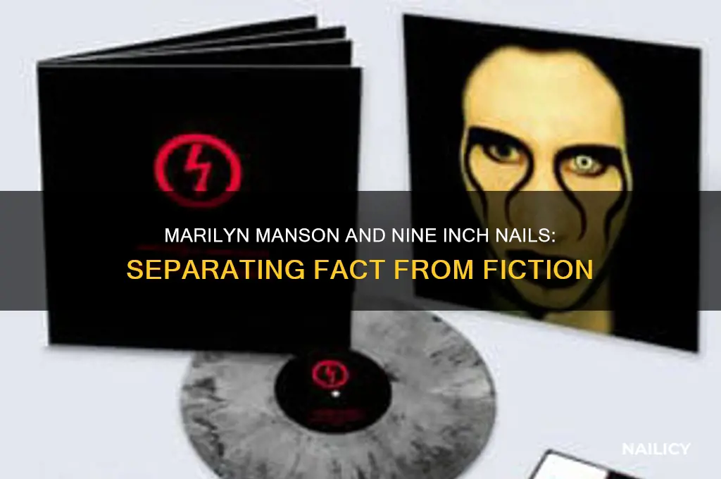 was marilyn manson in nine in nails
