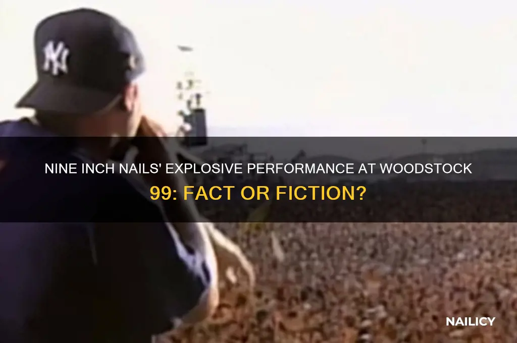 was nine inch nails at woodstock 99