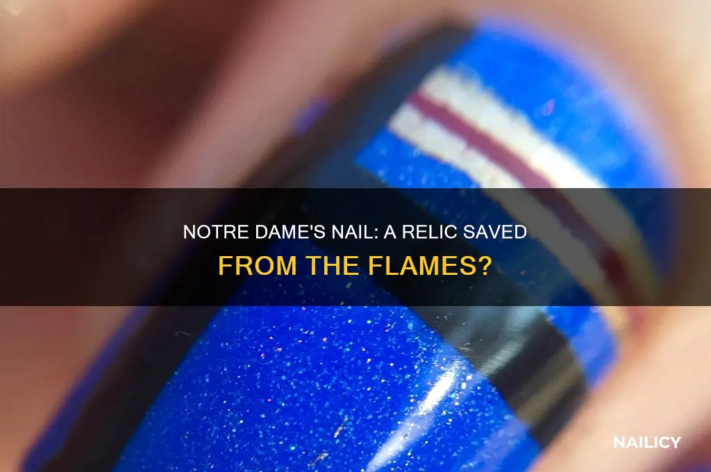 was the nail saved from notre dame
