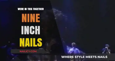 United in Sound: Nine Inch Nails' Collective Journey Through Music
