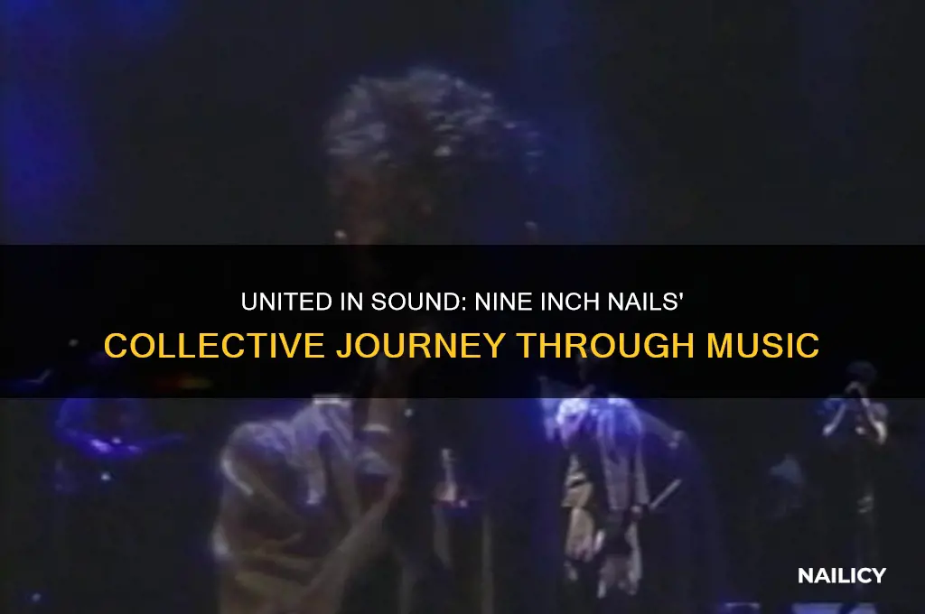 were in this together nine inch nails