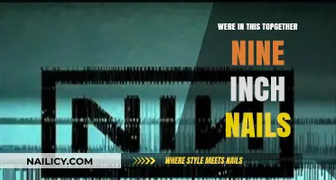 United in Sound: Nine Inch Nails' Collective Journey Through Music