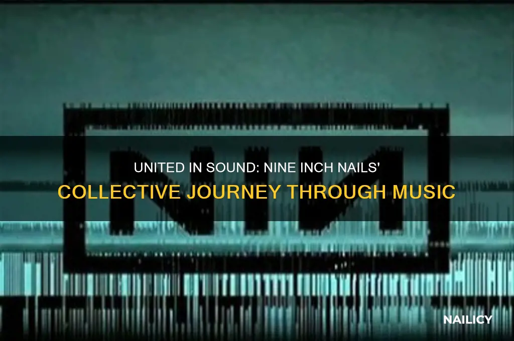 were in this topgether nine inch nails