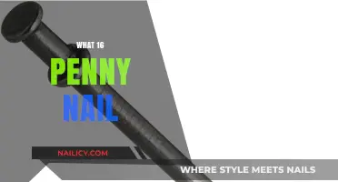 Understanding the Uses and Strength of 16 Penny Nails in Construction