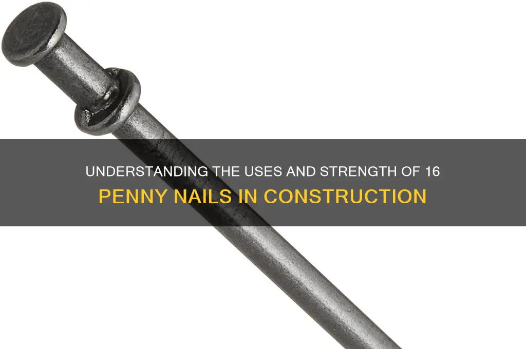 what 16 penny nail