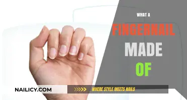 Unveiling the Surprising Composition of Fingernails: What Are They Made Of?