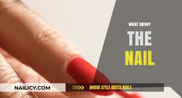 What About the Nail? Uncovering Its Role in Health and Beauty