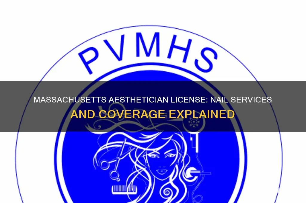what aesthetician license in massachuesetts cover nail