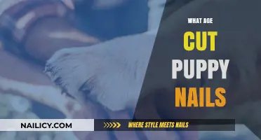 When to Cut Your Puppy's Nails?