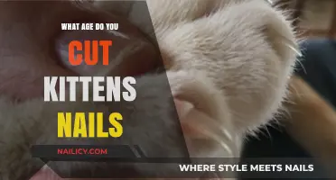 Cutting Kittens' Nails: When to Start?